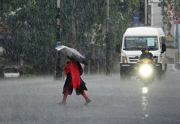 Rain Alert | സംസ്ഥാനത്ത് കനത്ത മഴ തുടരും; നാല് ജില്ലകളില് യെല്ലോ അലര്ട്ട്