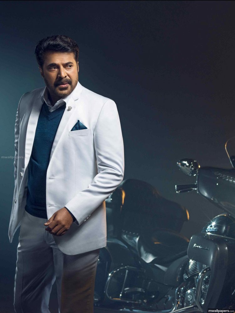 Mammoottty | 'ദ കിങ്'; തീരാമോഹത്തോടെ സിനിമയെ പ്രണയിച്ച അഭിനയപ്രതിഭാസത്തിനു അര നൂറ്റാണ്ട്