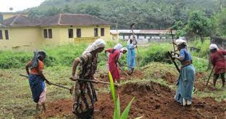 തൊഴിലുറപ്പ് പ്രവൃത്തി സമയം പുനഃക്രമീകരിച്ചു,ഇന്ന് മുതൽ പ്രാബല്യം