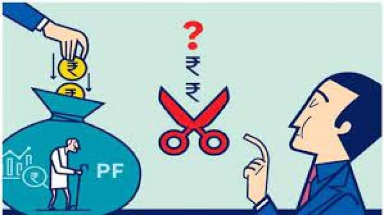 വയറ്റത്തടിക്കും! പിഎഫ് പലിശനിരക്ക് വെട്ടിക്കുറച്ചു, ബാധിക്കുക 6 കോടി പേരെ!