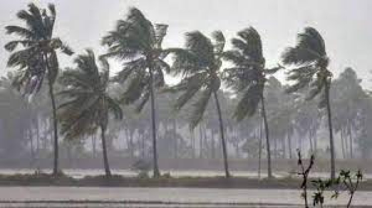 സംസ്ഥാനത്ത് തുടർച്ചയായ ആറാം ദിവസവും ശക്തമായ മഴ തുടരുന്നു; നാളെ മൂന്ന് ജില്ലകളില് ഓറഞ്ച് അലർട്ട്